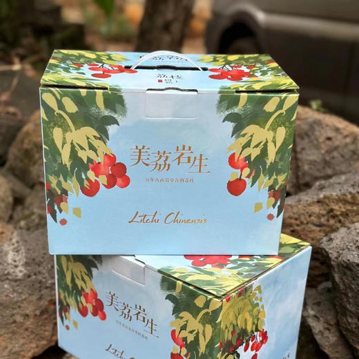 海南妃子笑荔枝 Lychee 商品图2