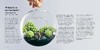 嘉德文库丨Miniscapes: Create your own terrarium 商品缩略图2