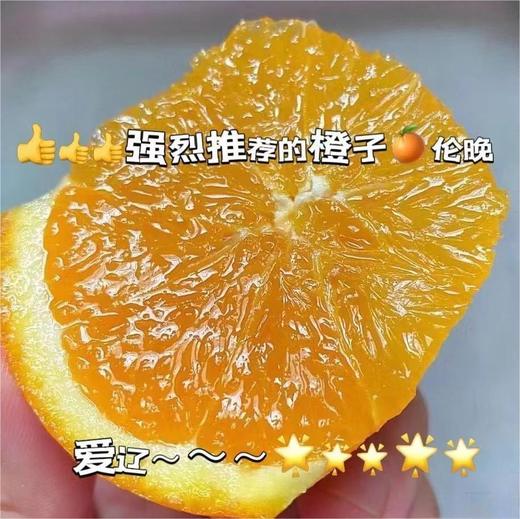 伦晚橙 |湖北水果 商品图0
