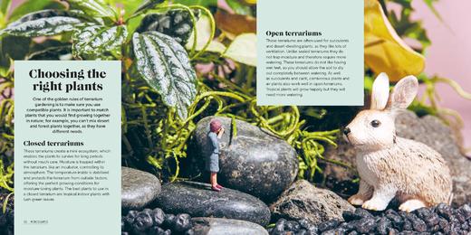 嘉德文库丨Miniscapes: Create your own terrarium 商品图4