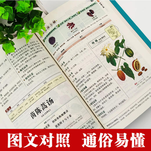 【推荐】正版现货 彩图精解一看就懂汤头歌诀中医配方历代名方验方中医入门书籍大全零基础学方剂白话解 通俗易懂汤头歌决集成中药书籍 商品图2