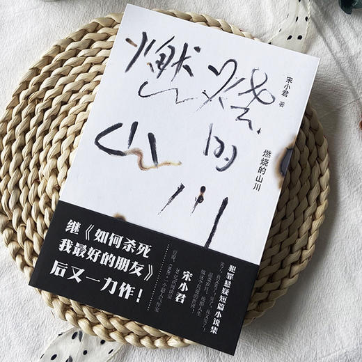 小说 | 燃烧的山川（宋小君全新力作，与大冰、张嘉佳同获第十一届影响力作家） 商品图2
