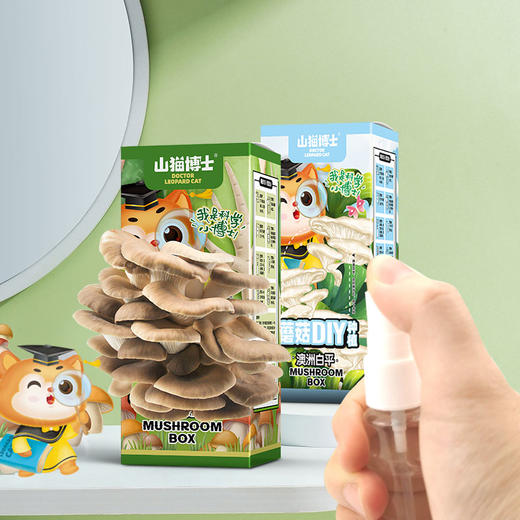 山猫博士可食用蘑菇DIY种植盒 商品图1