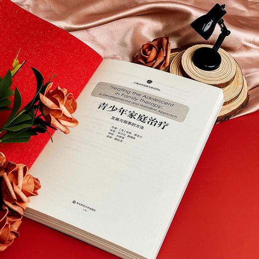 青少年家庭治疗 发展与叙事的方法 心理治疗经典与前沿译丛 商品图4