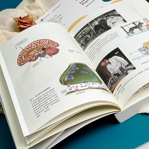 心理学的邀请 第7版 上下2册 心理学经典译丛 心理学入门经典 商品图6