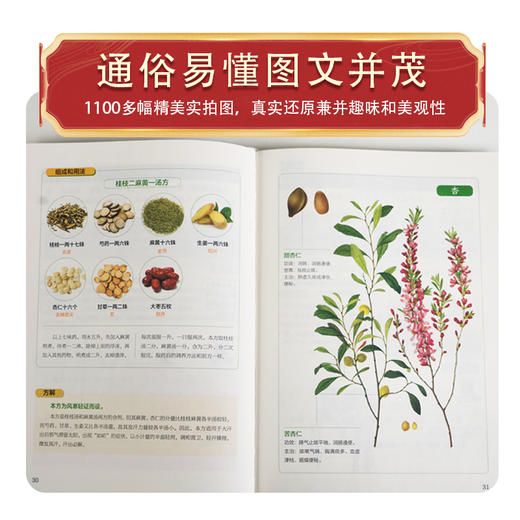 【推荐】全2册 视频讲透伤寒论+金匮要略 张仲景正版原著无删减伤寒杂病论全套张仲景正版临床必读丛书自学入门基础理论中医学养生书籍大全 商品图3