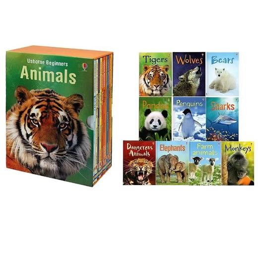【6-12岁必读】Usborne Beginners 尤斯伯恩初探科普系列读物全40册  儿童英语科普启蒙 4个主题套装可选 商品图4