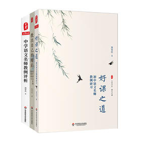 汲安庆教中学语文系列3册 大夏书系 教出自己的精彩+好课之道+中学语文名师教例评析