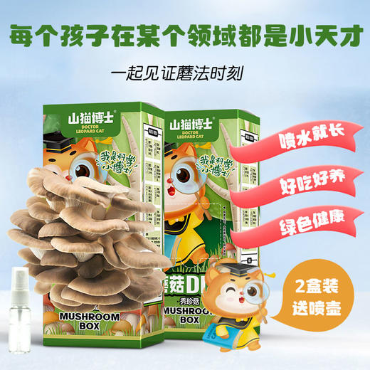 山猫博士可食用蘑菇DIY种植盒 商品图5