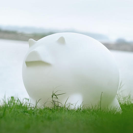 与光共舞 光头仔的游乐园 猪猪灯艺术灯 商品图2