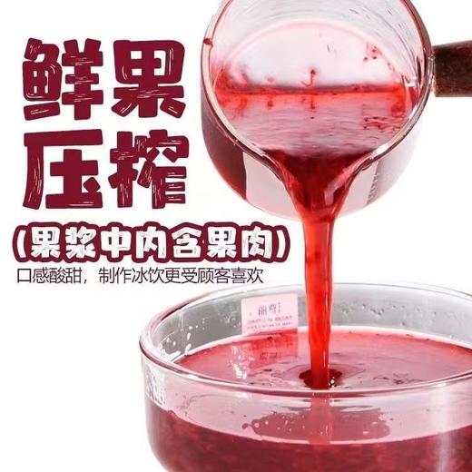 （优）臻典  杨梅果汁（果肉）  1l/瓶 商品图2