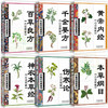 【推荐】全6册中医药经典原版 本草纲目 黄帝内经全集 神农本草经 百草良方 千金要方 伤寒论中医入门白话文中医基础理论中医书籍大全正版 商品缩略图1