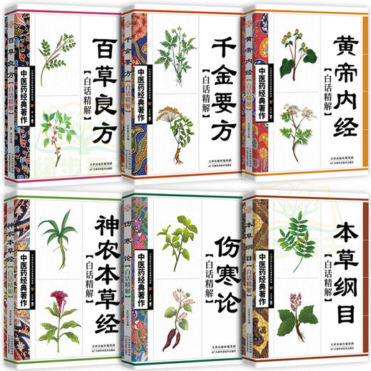 【推荐】全6册中医药经典原版 本草纲目 黄帝内经全集 神农本草经 百草良方 千金要方 伤寒论中医入门白话文中医基础理论中医书籍大全正版 商品图1