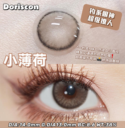 DorisCon 小薄荷 (年抛) 商品图1
