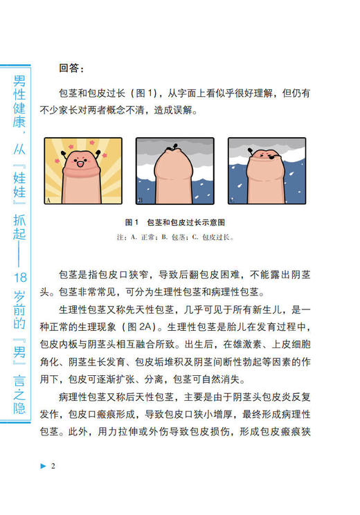 男性健康从娃娃抓起18岁前的男言之隐 谢起根 邓春华 中华医学会男科分会男性健康系列科普 中华医学电子音像出版社9787830053666 商品图3