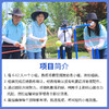 团队金字塔拓展团建户外培训活动道具传球亲子游戏趣味运动会器材 商品缩略图3