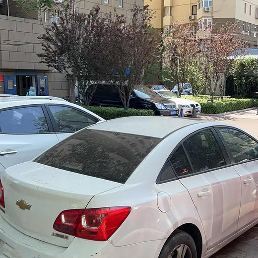 雪佛兰 科鲁兹 1.5L 经典 SE AT【长租-北京】 商品图3