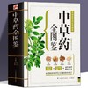 【推荐】中医名著四册 黄帝八十一难经+千金方+中草药全图鉴+汤头歌诀精版 全彩图文版 皇帝 81难经 零基础学自学白话诊断基础理论方剂书籍 商品缩略图1