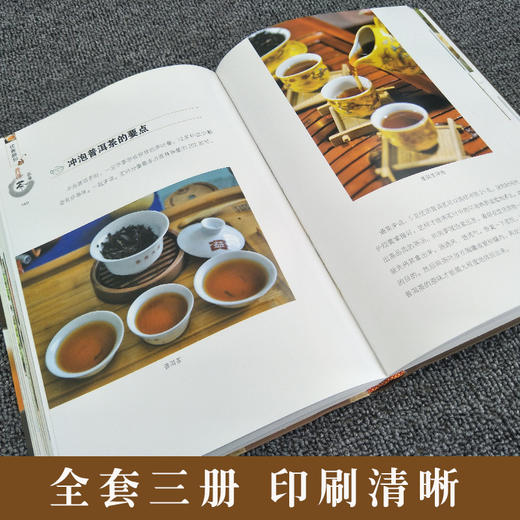 【推荐】正版茶书3册 一本书认识普洱茶红茶绿茶品鉴全图解识茶泡茶品茶收藏存储面关于中国名茶茶艺书籍入门教程书 茶叶茶经茶文化茶道书 商品图3