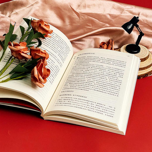 青少年家庭治疗 发展与叙事的方法 心理治疗经典与前沿译丛 商品图6