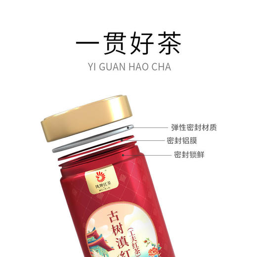 凤牌古树滇红·工夫红茶100g/罐 商品图3
