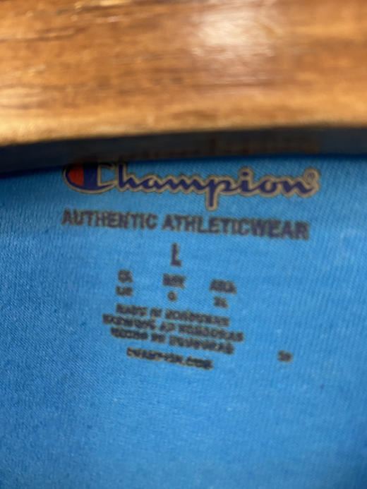 Champion 冠军 短袖T恤 _SST(M) 商品图2