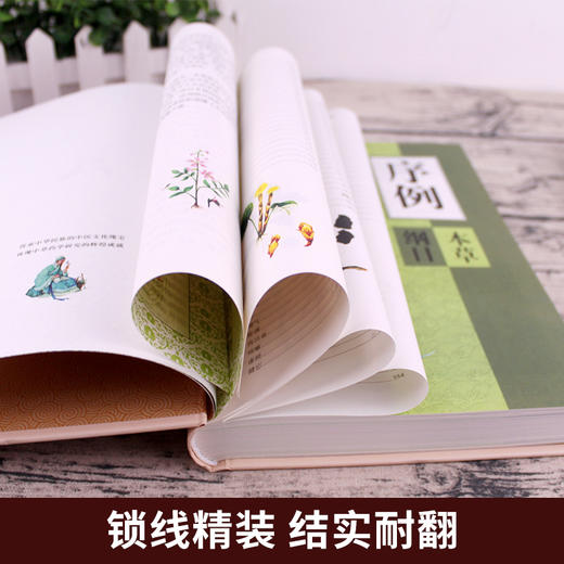 【推荐】精装3册 本草纲目原版全套李时珍 黄帝内经全集正版神农本草经中医基础理论书籍大全入门 零基础学医学类皇帝内经中草药彩图大全书 商品图1