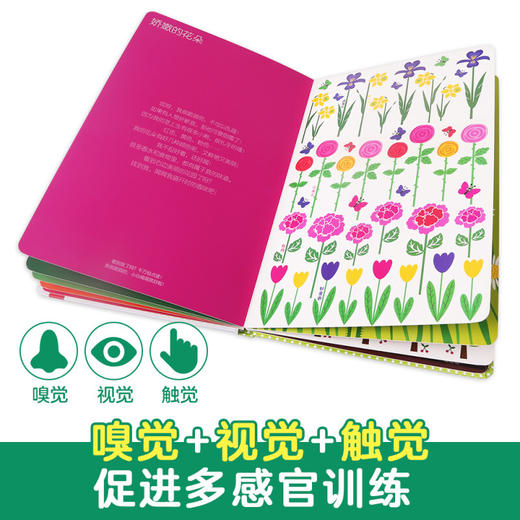 来 闻闻大自然的味道V3.1 0-2岁 玛丽·黛罗斯特 著 幼儿启蒙 商品图1