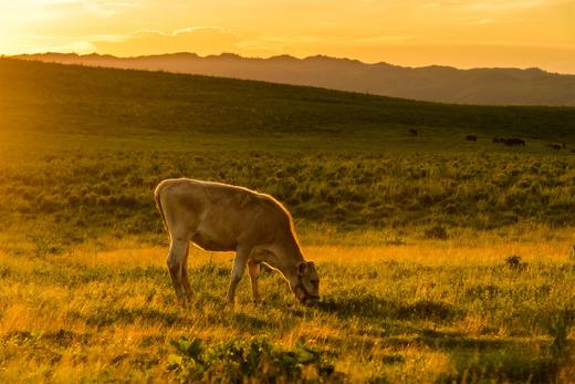 （越野车）新疆·夏季最美独库公、S101S国防公路、精伊牧道、石林秘境12天摄影团 商品图6