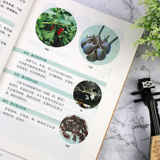 【推荐】正版速发 黄帝内经 二十四节气养生智慧马寅中中医之道养生法中医养生图解皇帝内经保健养生中医大全中医养生书籍 商品图4