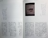 【中商原版】东京散步思考 港台原版 陈岳夫 远足文化 商品缩略图7