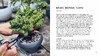嘉德文库丨LITTLE BOOK OF BONSAI 商品缩略图4