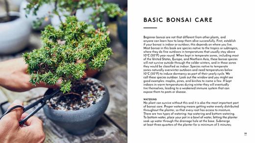 嘉德文库丨LITTLE BOOK OF BONSAI 商品图4