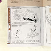【推荐】全13册 图解大中医漫画丛书 一本就能看懂中医基础篇+方剂+养生+经络+体质+中药+藏象 本草纲目黄帝内经中医基础入门养生正版书籍 商品缩略图3