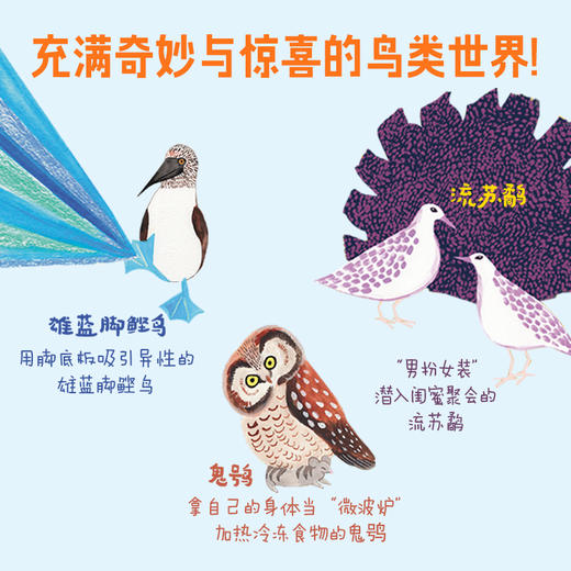 迷人的鸟类 7-10岁 米莎布莱斯著 文津奖推荐作者重磅新作121副鸟类绝美插图和有趣知识 让人深深着迷的鸟类魅力指南 商品图2