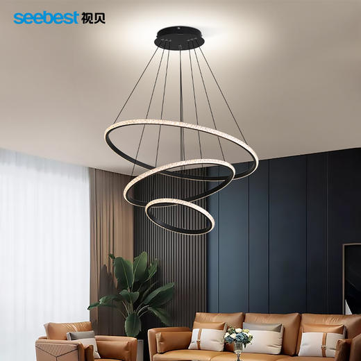 简雅-吊灯 商品图1