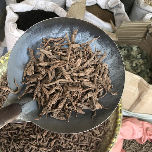 红大戟 云南散装红芽大戟  农家生晒无硫新货 商品图4