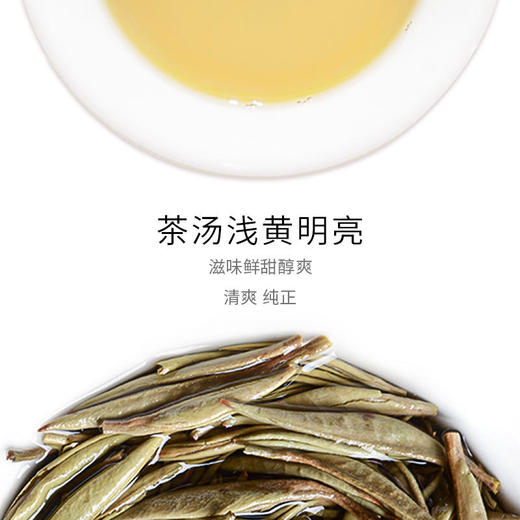 凤牌白毫银针·云南大叶白茶50g/罐 商品图5