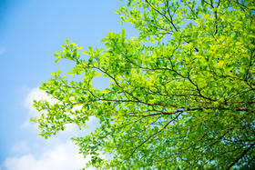 立夏后，祛寒湿好时机，用72天赶走寒湿