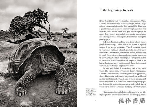 Sebastiao Salgado: From My Land to the Planet / 塞巴斯蒂昂·萨尔加多：从我的土地到地球 商品图4