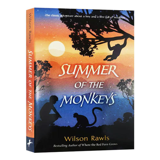 猴子的夏天 英文原版 Summer of the Monkeys 英文版儿童文学小说 进口原版英语课外阅读书籍 商品图0