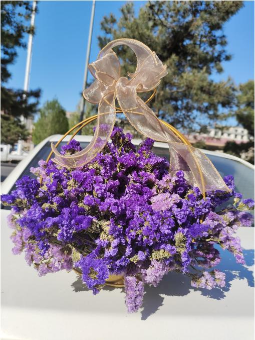 勿忘我铁艺花篮（拼团） 商品图0