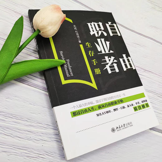 自由职业者生存手册 无戒，杜培培 北京大学出版社 商品图3