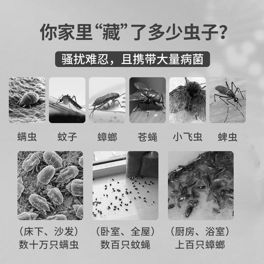 买1送1【澳洲“虫克星”】AIRUSH艾尔仕驱虫精粹盒 澳洲原装进囗 全新设计 更省空间 快速 靶向针对近百种虫类 持久守护 天然植萃 80g/盒 商品图1