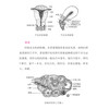 《协和名医说妇科肿瘤》 商品缩略图6