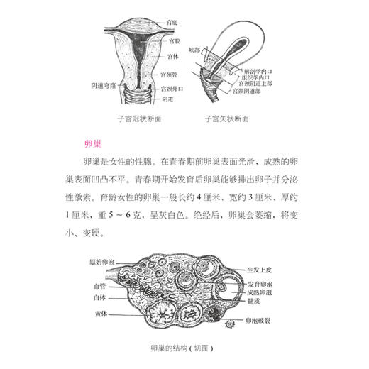 《协和名医说妇科肿瘤》 商品图6