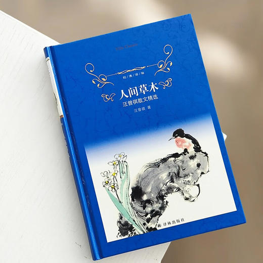 经典译林 人间草木 汪曾祺散文精选 汪曾祺 著 文学 商品图2