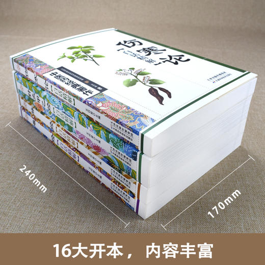【推荐】中医药经典著作全套4册 脉经+难经+针灸甲乙经+伤寒论张仲景原著正版白话精解版 针灸入门中医书籍大全零基础中医基础理论 商品图1