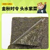 海狸先生寿司海苔28g(10枚)/袋（买就送寿司卷帘）DIY食材一应俱全 商品缩略图2