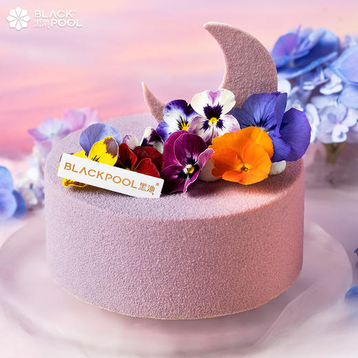 （预约验券专用）【双子座·墨丘利】黑加仑香草莓果慕斯-验券不成功不发货，选择款式，备注平台+券码，下单支付0.01元即可 商品图0